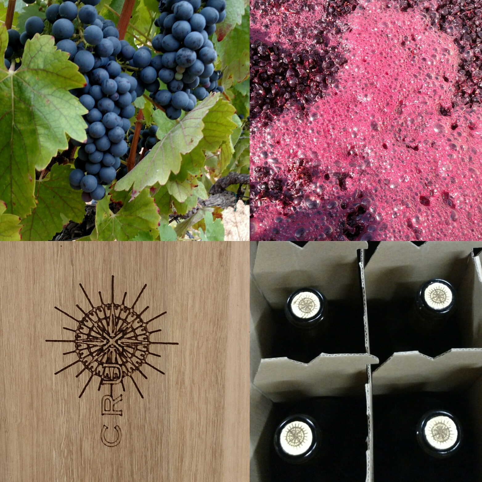 four images in a collage, top left featuring a grape bunch on a vine, top right shows fermenting grapes in grape juice, bottom left features the winery logo on a barrel, and bottom right shows four bottles of wine in a box