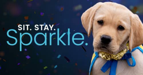 Canine Companions Sit Stay Sparkle Gala 2026